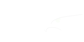 Expose white logo