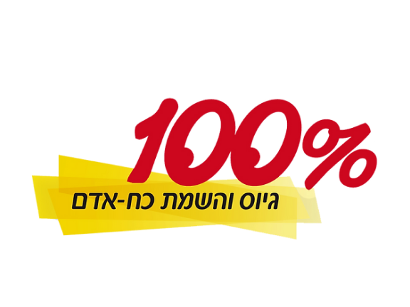 logo of the 100 percent company